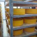 July dairy product production higher