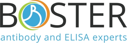 Boster Bio Expands Access to Validated VEGF ELISA Kits for Reliable Human Serum Analysis