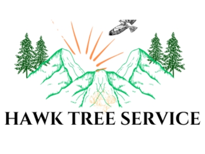 Colorado Springs Native Launches Hawk Tree Service to Bring Safer, Smarter Tree Care to Local Families