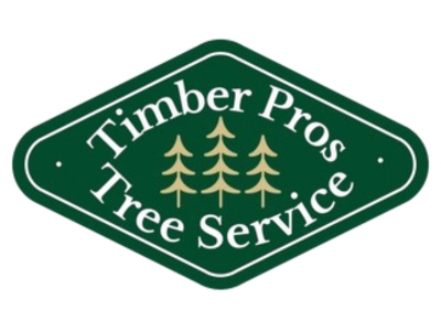 Fontana’s Timber Pros Tree Service Earns Top Ratings for Reliable, Customer-Focused Tree Care