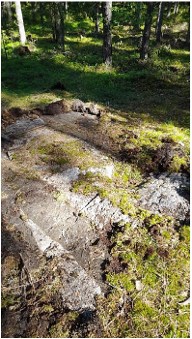 Cannot view this image? Visit: https://images.newsfilecorp.com/files/4874/150568_71debd6c743b7a87_005full.jpg