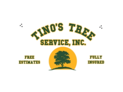 Tino’s Tree Service Delivers Expert Emergency Tree Removal with Same-Day Response