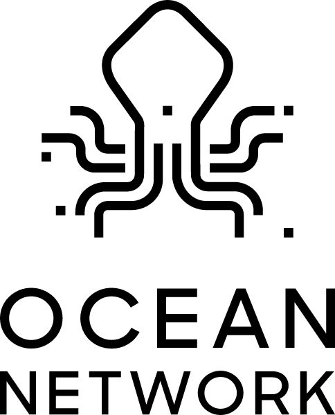 Ocean Network Launches Beta for Affordable P2P GPU Orchestration