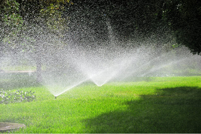 EPS Landscaping & Tree Service LLC Irrigation Services in Pembroke Pines, Florida