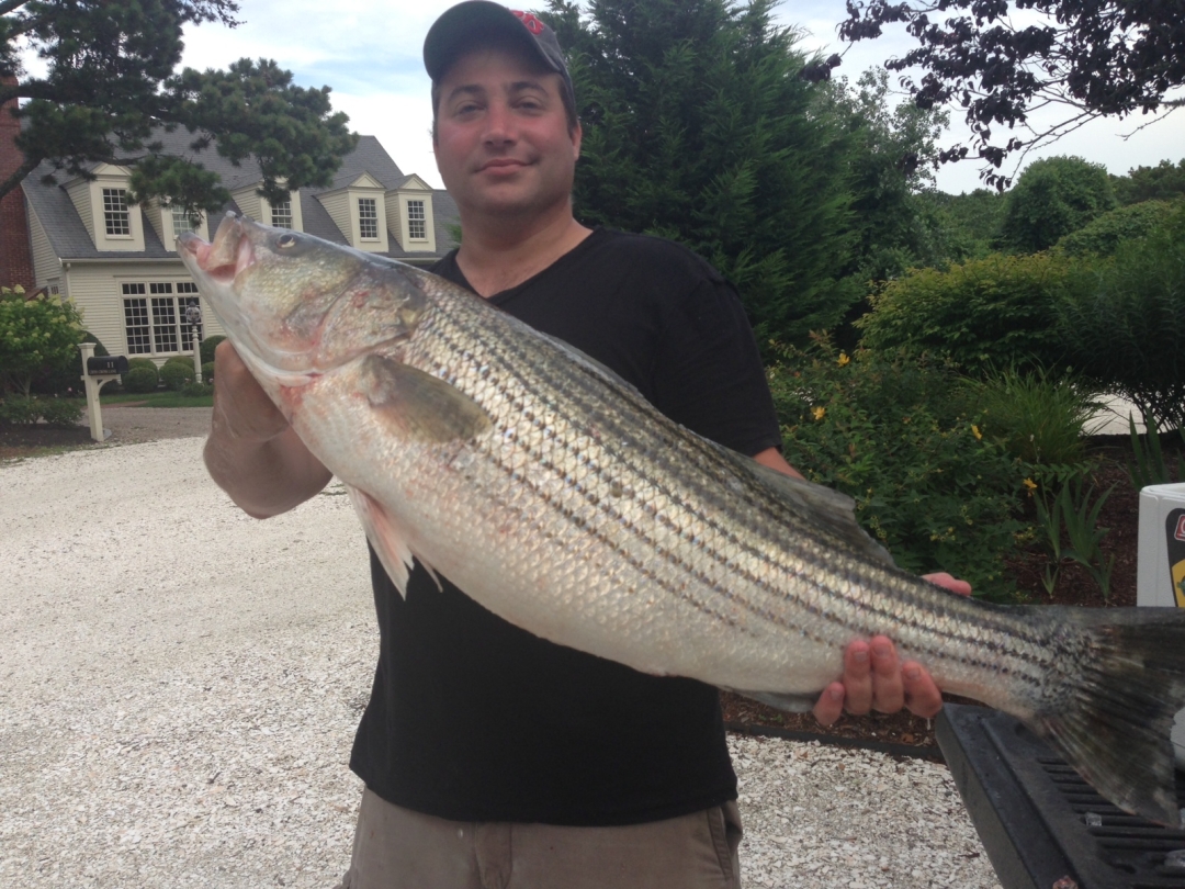 Jared Rudnick on What to Expect Next Year in the Electronics Sales Space