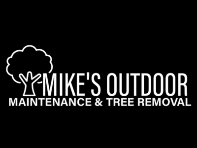 Fallsburg Tree Experts Warn: Ignoring Storm-Damaged Trees Could Cost You Thousands