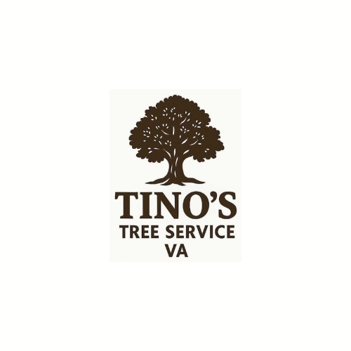 Local Experts at Tino’s Tree Service VA Set High Standards with Transparent Pricing and Professional Tree Removal