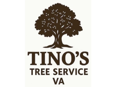 Tino’s Tree Service VA Prioritizes Property Protection with Fully Insured, Expert-Guided Tree Solutions Tino’s Tree Service VA Prioritizes Property Protection with Fully Insured, Expert-Guided Tree Solutions