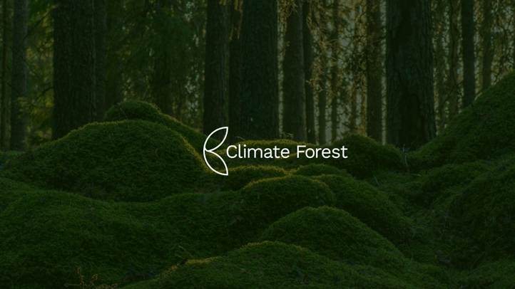 Sustainable Forestry leads to climate forests.
