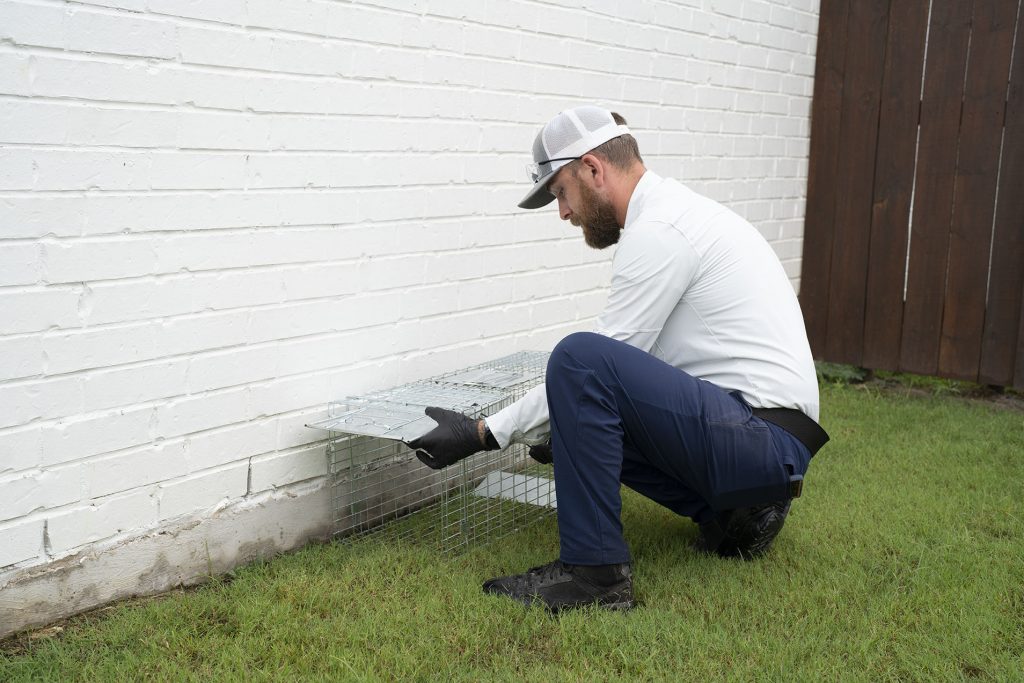 110. wildlife cage trap u pr