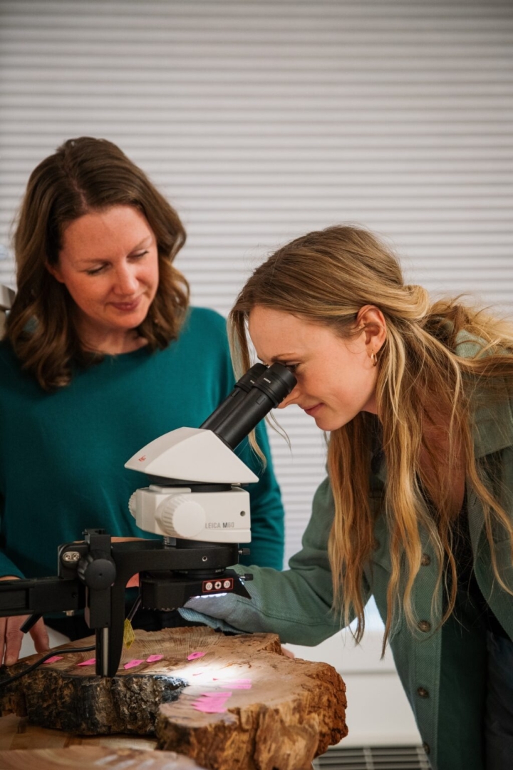 World Engineering Day for Sustainable Development 2026, an International Day proclaimed by UNESCO, to profile Thompson Rivers University as an official partner World Engineering Day for Sustainable Development 2026, an International Day proclaimed by UNESCO, to profile Thompson Rivers University as an official partner