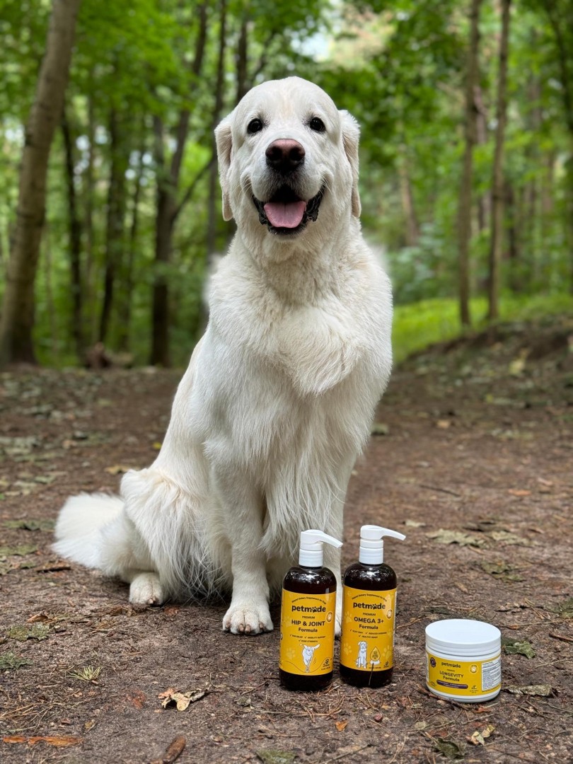 Petmade - Loved by Pets, Approved by Vets Petmade - Loved by Pets, Approved by Vets
