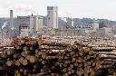 Logs are piled up at West Fraser Timber in Quesnel, B.C., Tuesday, April 21, 2009.THE CANADIAN PRESS/Jonathan Hayward