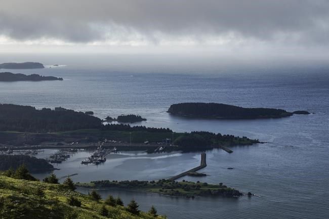 FILE - Fog hangs over Saint Herman Harbor on Sunday, June 25, 2023, in Kodiak, Alaska. Alaska fishermen learned Friday, Oct. 6, 2023, that they will be able to harvest red king crab for the first time in two years, offering a slight reprieve to the beleaguered fishery beset by low numbers likely exacerbated by climate change. (AP Photo/Joshua A. Bickel, File)