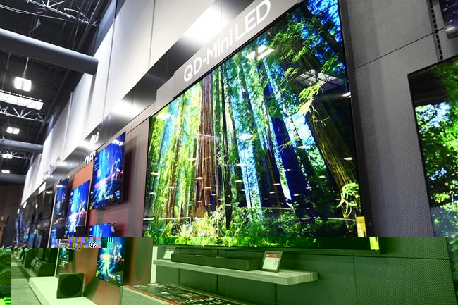 A 115-inch TCL television, right, is displayed at a Best Buy store in Dallas, Friday, Oct. 25, 2024. (AP Photo/Tony Gutierrez)