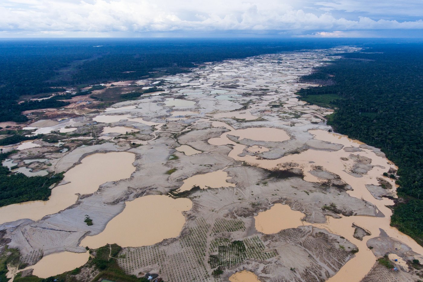 Peru election highlights lack of plans to tackle illegal mining despite ...