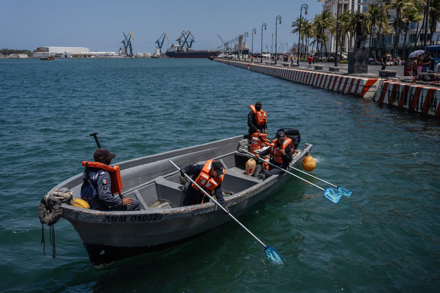 Mexican Navy sailors collect sargassum stained with oil from a spill in the Gulf of Mexico that Mexican authorities said originated from an unidentified vessel and two natural oil seeps in Veracruz, Mexico, Thursday, March 26, 2026. (AP Photo/Felix Marquez)