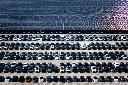 FILE - New cars wait for shipment in a parking lot partially covered by solar panels at the distribution center of Changan Auto, in southwest China's Chongqing Municipality on July 6, 2025. (Chinatopix via AP, File)