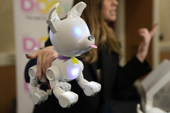 An exhibitor holds up a Dog-E smart, app-connected robot dog during the Pepcom Digital Experience before the start of the CES tech show, Wednesday, Jan. 4, 2023, in Las Vegas. (AP Photo/John Locher)