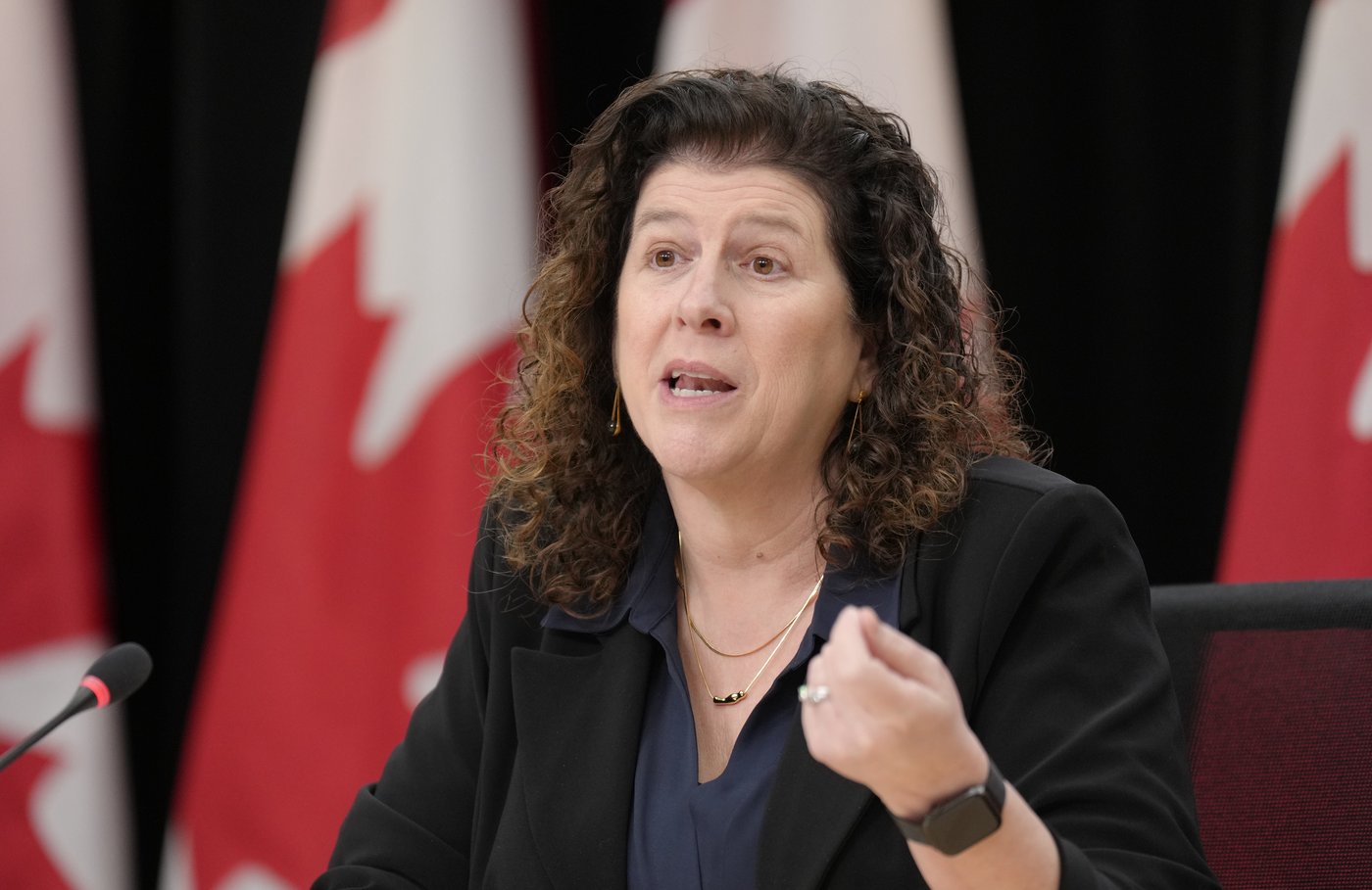 Auditor General Karen Hogan is seen during a news conference in Ottawa, Monday, March 23, 2026. THE CANADIAN PRESS/Adrian Wyld