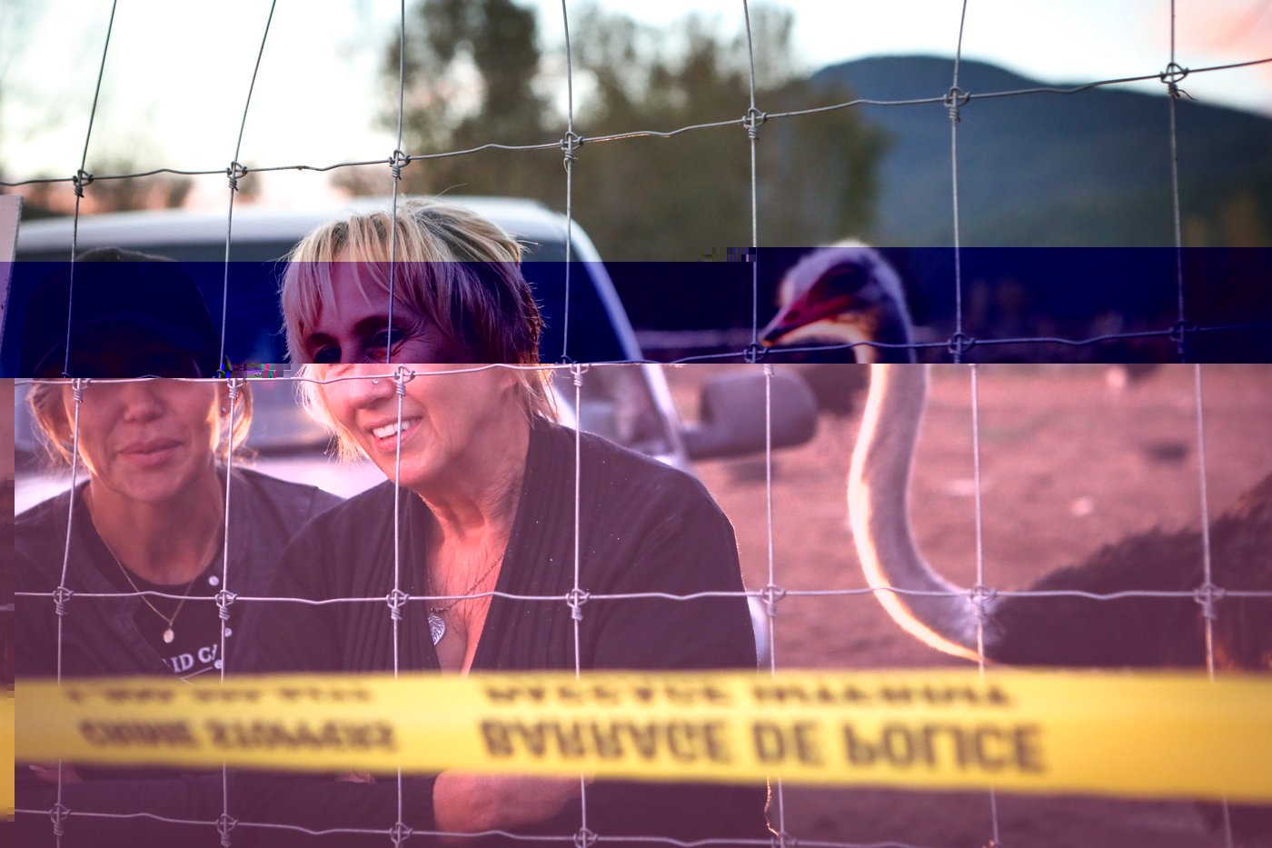 Tribunal upholds $10K fine for B.C. ostrich farm over failure to report  sick birds