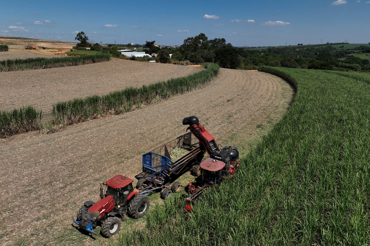 A tractor is loaded during a seedling harvest on a sugarcane plantation at Bom Retiro Farm in Artur Nogueira, Brazil, Tuesday, March 24, 2026. (AP Photo/Andre Penner)