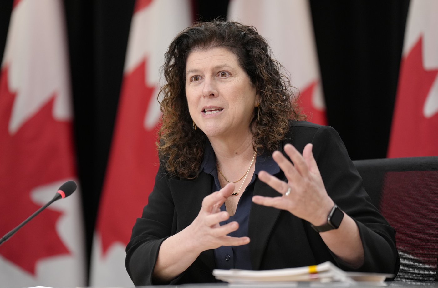 Auditor General Karen Hogan is seen during a news conference in Ottawa, Monday, March 23, 2026. THE CANADIAN PRESS/Adrian Wyld