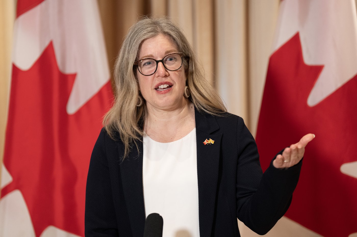 New Brunswick Premier Susan Holt speaks with reporters in Mumbai, India, Friday, Feb. 27, 2026. THE CANADIAN PRESS/Adrian Wyld