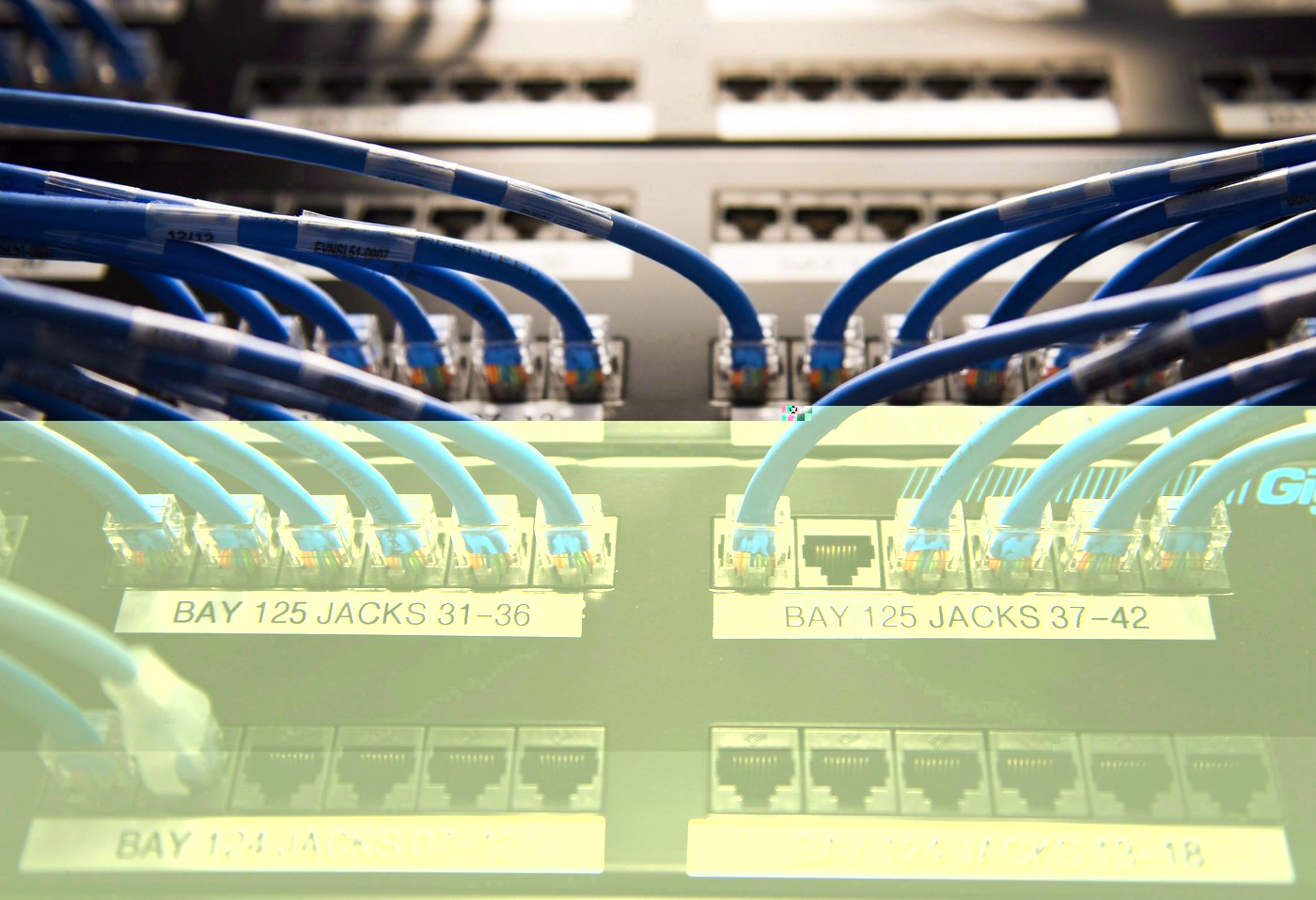 CIRO says about 750K people’s data affected by cybersecurity incident