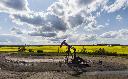 A pumpjack draws out oil and gas from a well head with a Canola field in the background near Cremona, Alta., Tuesday, July 15, 2025. THE CANADIAN PRESS/Jeff McIntosh