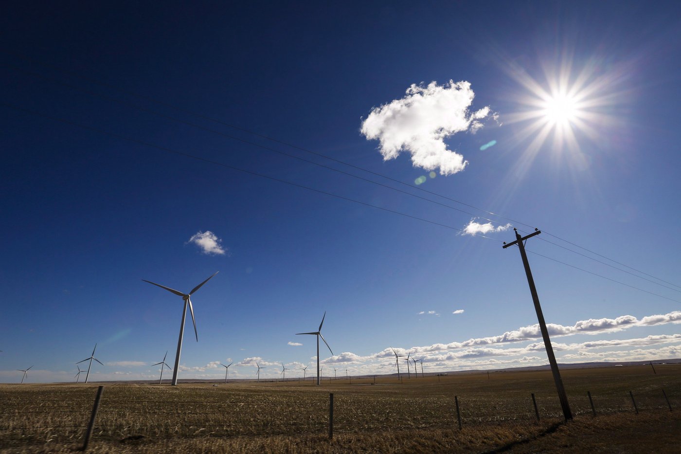 A TransAlta wind farm near Pincher Creek, Alta., Wednesday, March 9, 2016.THE CANADIAN PRESS/Jeff McIntosh