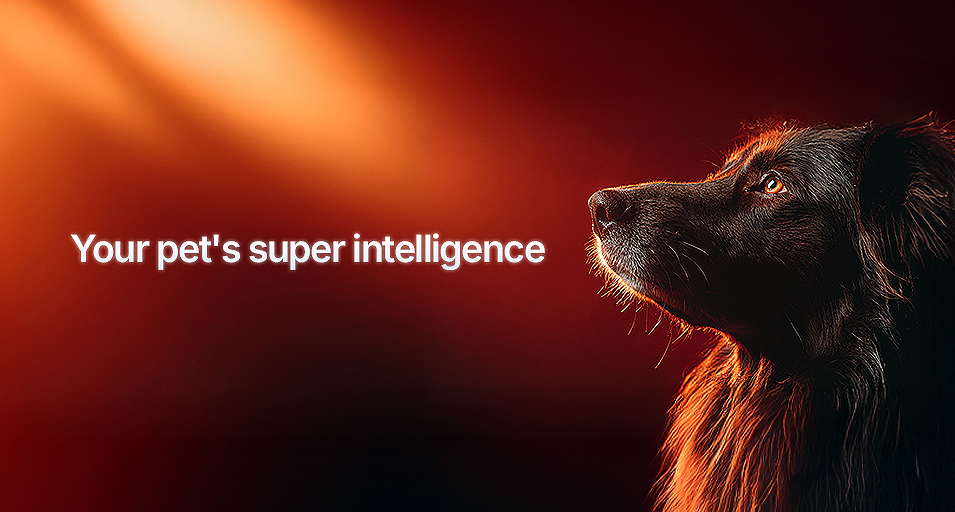 Pluto Pets - Your pet's super intelligence