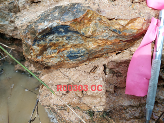 RooGold Inc., Thursday, June 23, 2022, Press release picture