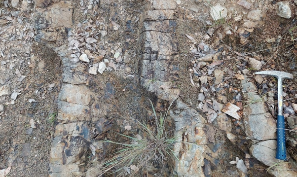 RooGold Inc., Thursday, June 23, 2022, Press release picture