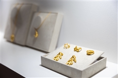 A close-up of a jewelry displayDescription automatically generated