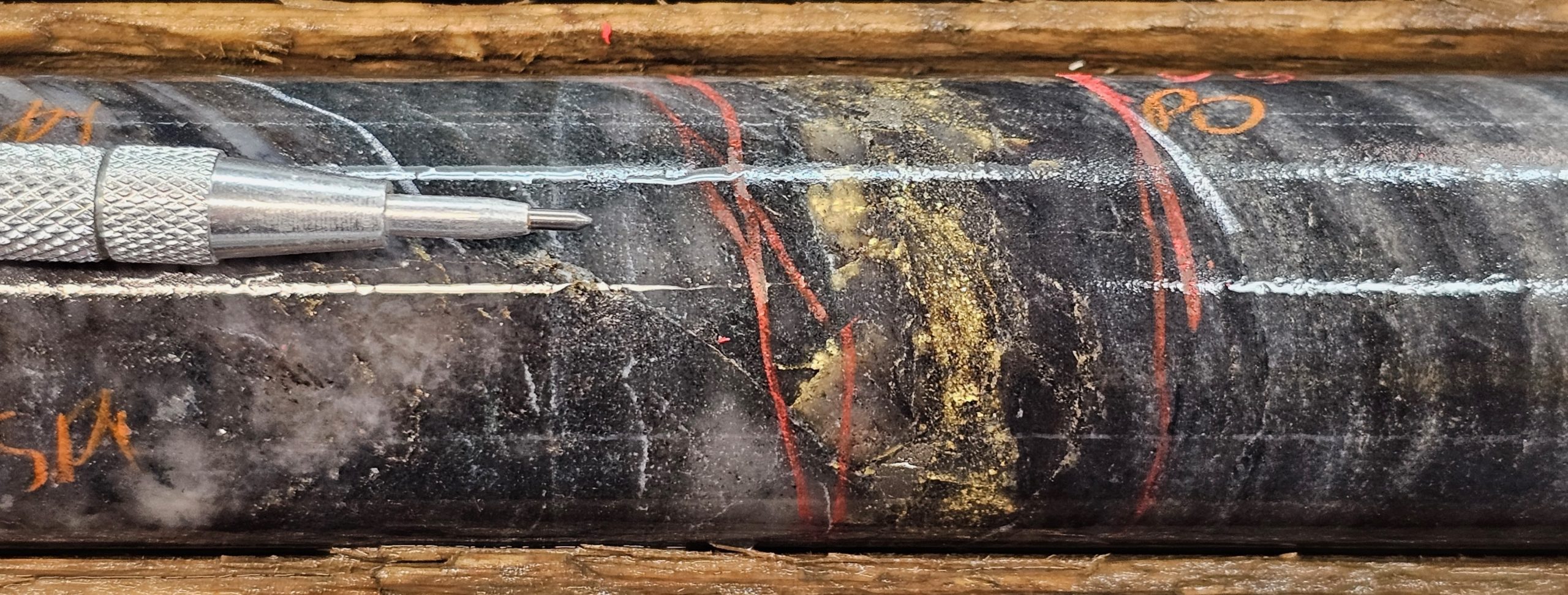 figure 1 scaled West Red Lake Gold Hits New High-Grade Gold Lens in Lower Main Austin with 139.45 g/t Au over 7.8m, 74.70 g/t Au over 8.7m and 18.31 g/t Au over 7.5m