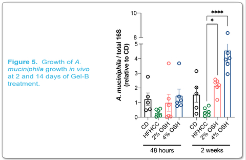 (Graphic: Business Wire)