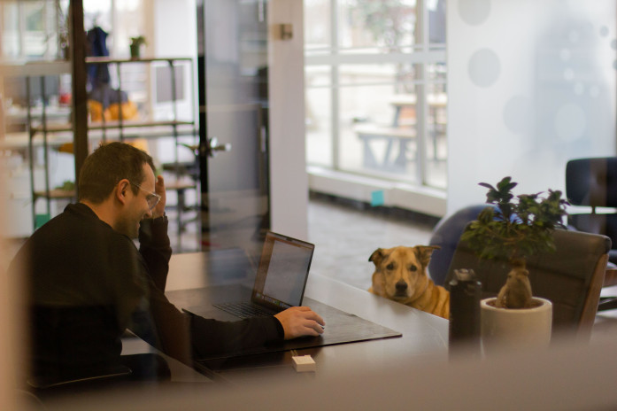 Showpass office