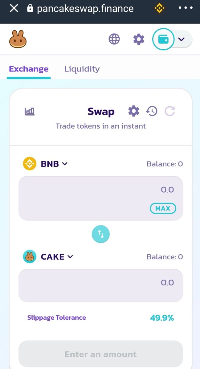 Pancake Swap Photo.jpg