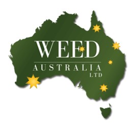 WEED, Inc., Wednesday, May 4, 2022, Press release picture