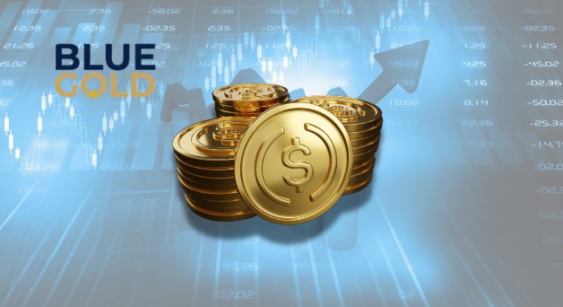 Image by Blue Gold Limited