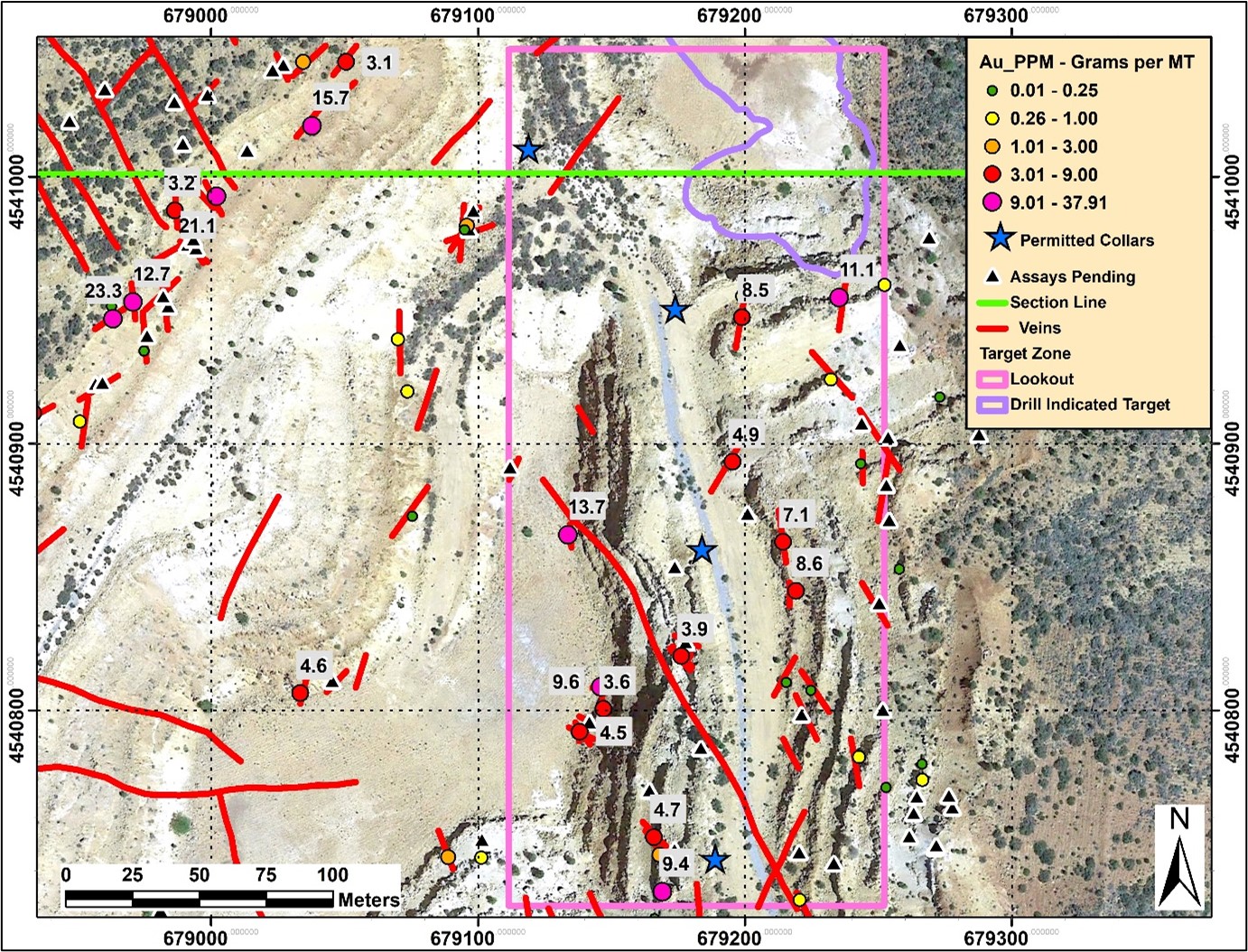 Hayden Hill Surface Program Mapped Multiple Epithermal Veins ...