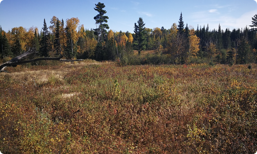 Orsu Metals Corporation, Monday, May 23, 2022, Press release picture