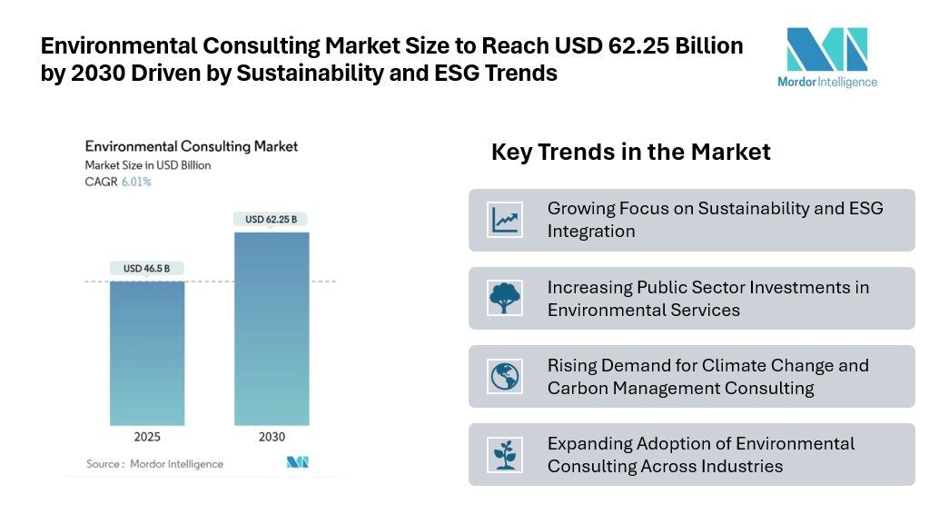 Environmental Consulting Market Size to Reach USD 62.25 Billion by 2030 Driven by Sustainability and ESG Trends