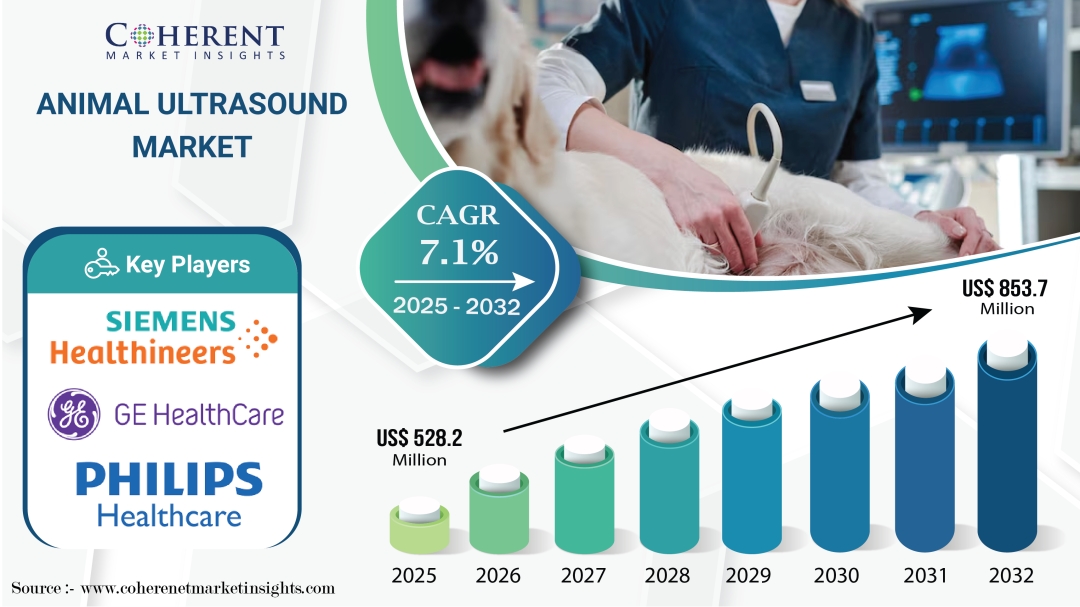 Animal Ultrasound Market to Reach USD 853.7 Million by 2032, Amid Growing Demand for Advanced Veterinary Imaging