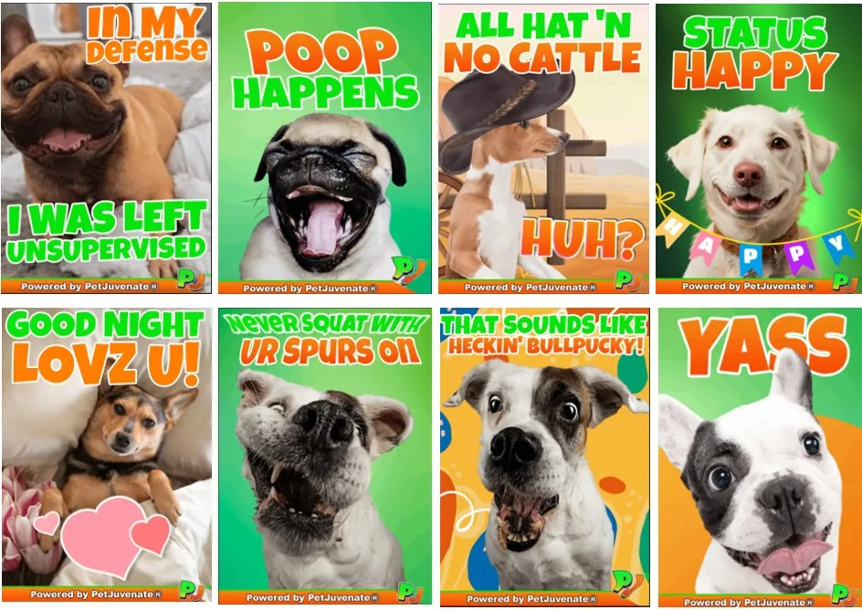 PetJuvenate® Unveils Free FeelGood Greeting GIFs, a Pawsitively