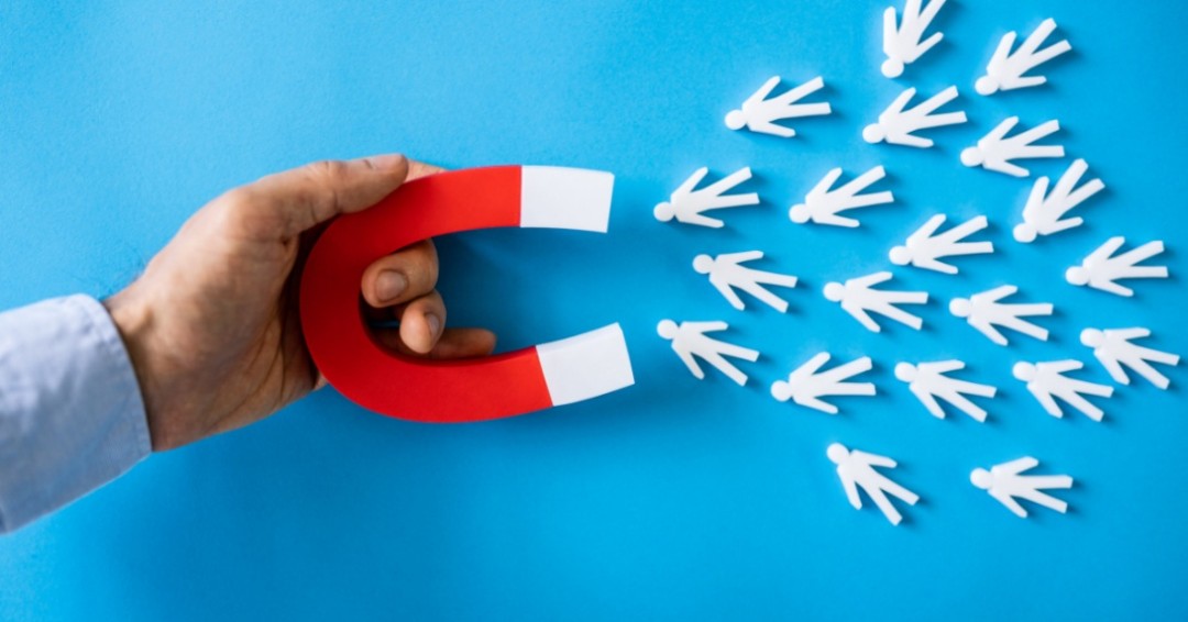 Baadigi Launches Data-Driven Marketing Service to Support Small Business Growth