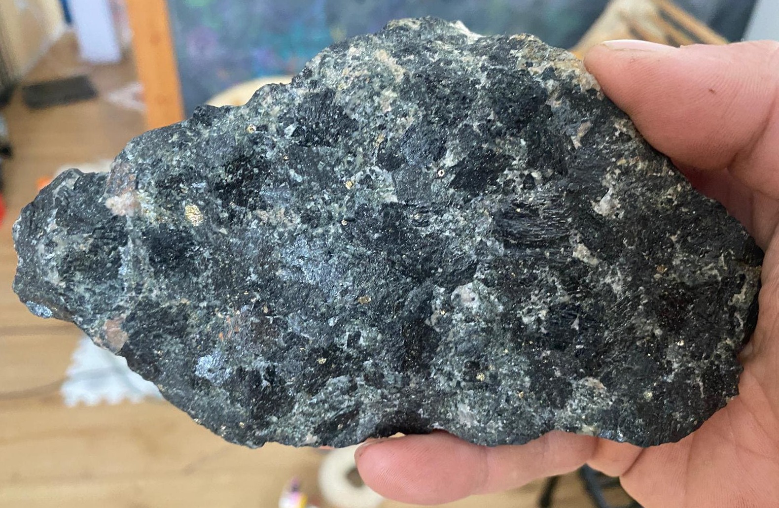 PHOTO-2024-09-11_crop