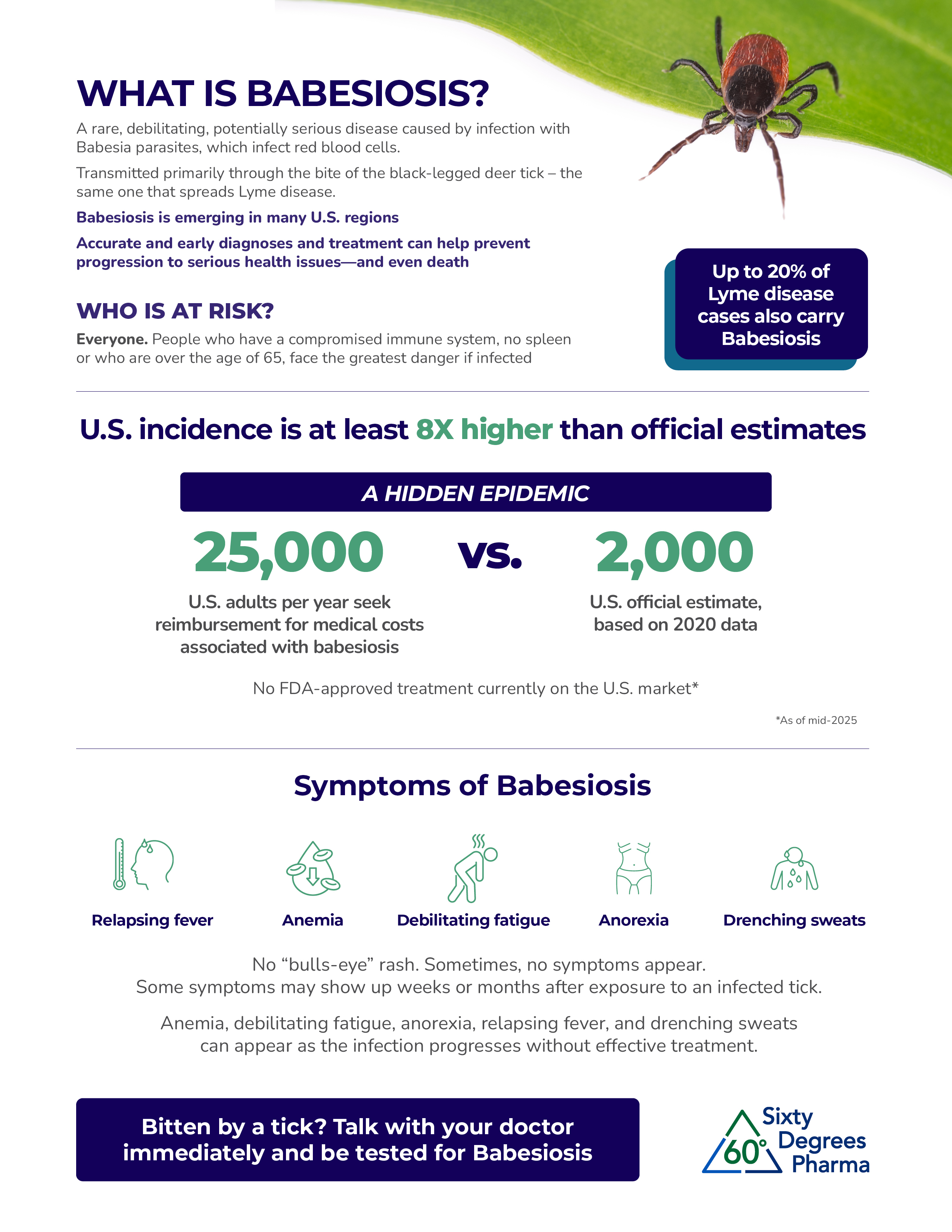 Learn how babesiosis, a rare but serious parasitic infection, spreads, who’s most at risk, and why early diagnosis matters.