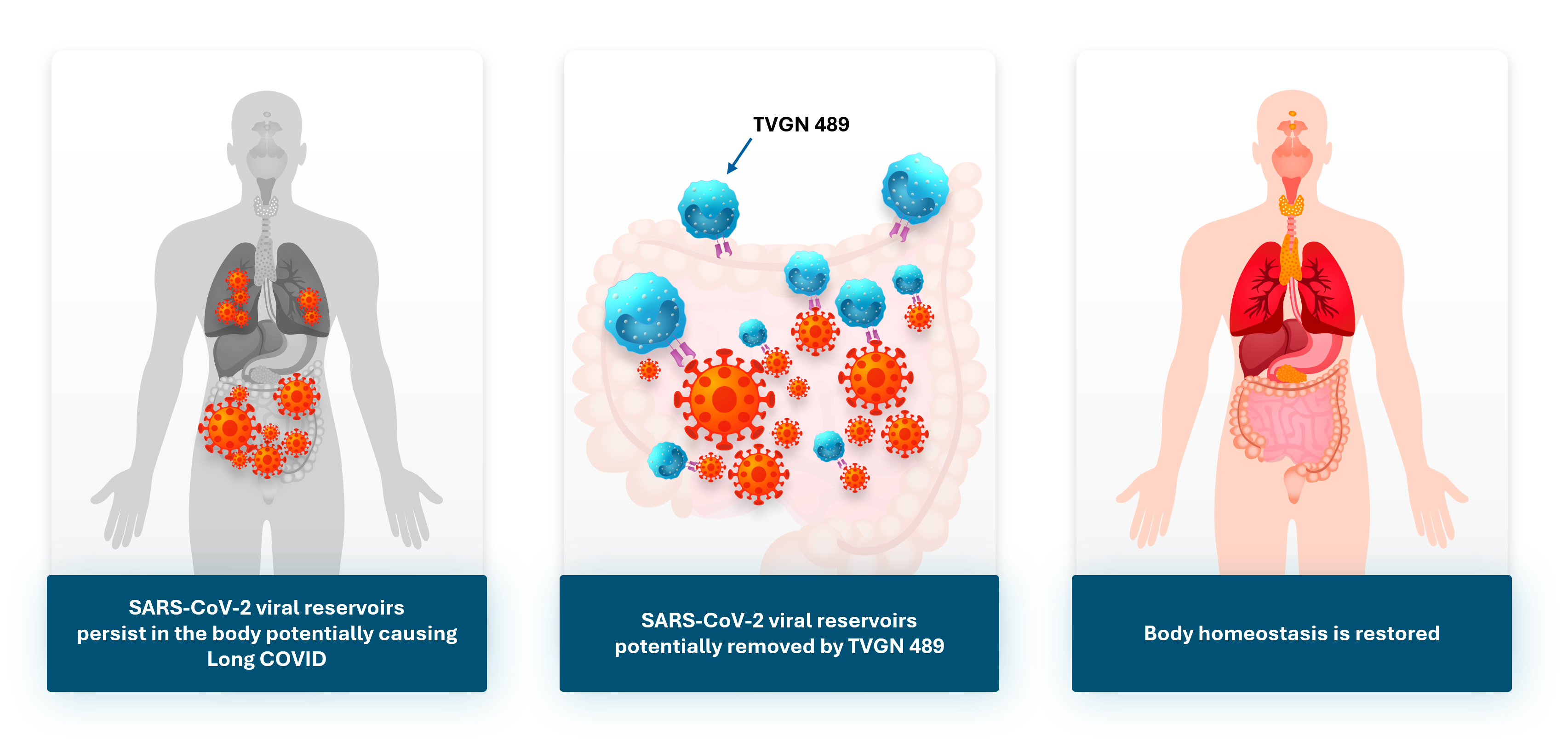 TVGN 489 Viral Reservoir